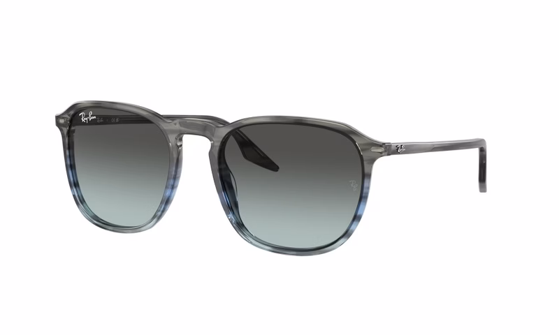 Ray-Ban RB2203 1391GK 52 Ray-Ban RB2203 1391GK 52