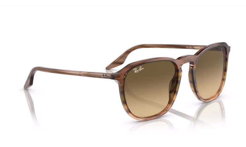 Ray-Ban RB2203 13920A 52 Ray-Ban RB2203 13920A 52
