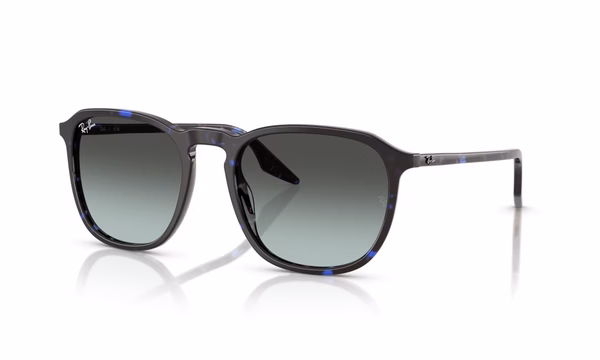 Ray-Ban RB2203 1430GK 55 Ray-Ban RB2203 1430GK 55