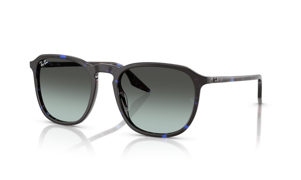Ray-Ban RB2203 1430GK 55 Ray-Ban RB2203 1430GK 55