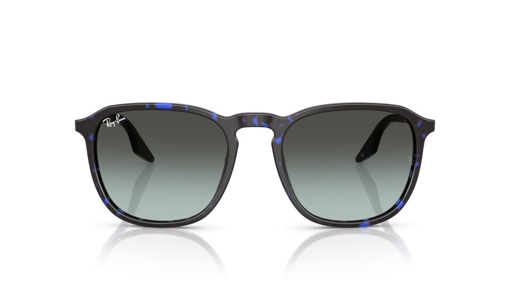 Ray-Ban RB2203 1430GK 55 Ray-Ban RB2203 1430GK 55