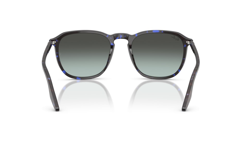 Ray-Ban RB2203 1430GK 55 Ray-Ban RB2203 1430GK 55