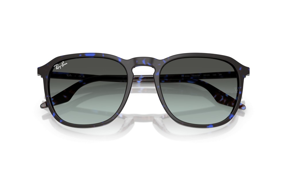 Ray-Ban RB2203 1430GK 55 Ray-Ban RB2203 1430GK 55