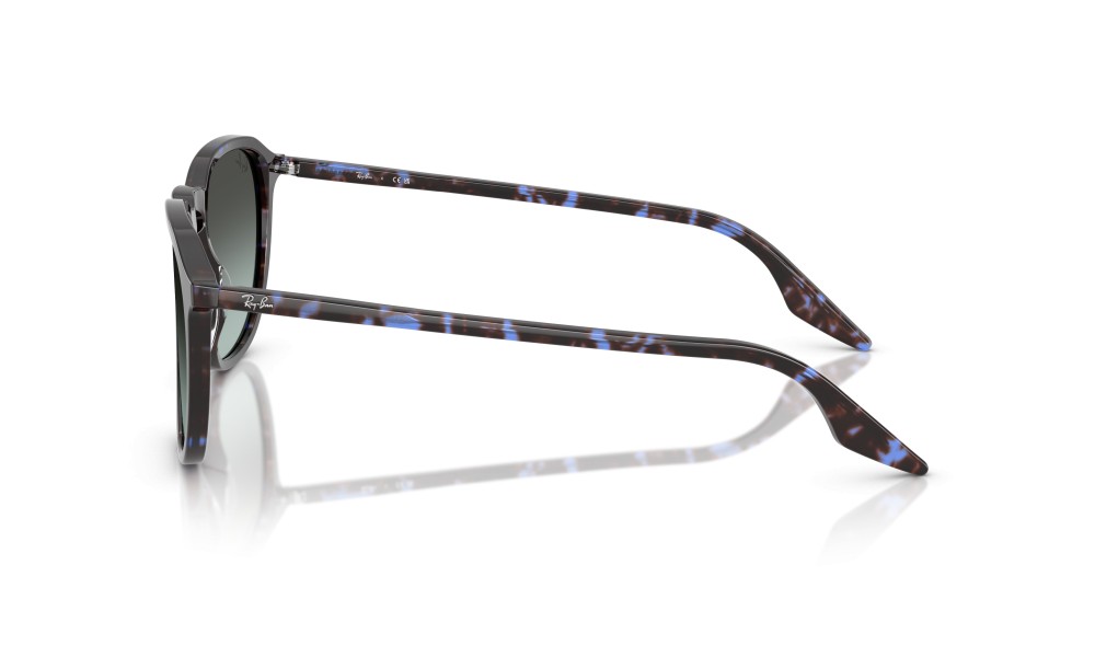 Ray-Ban RB2203 1430GK 55 Ray-Ban RB2203 1430GK 55