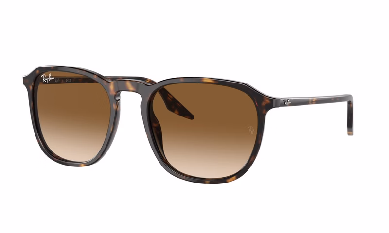 Ray-Ban RB2203 902/51 52 Ray-Ban RB2203 902/51 52