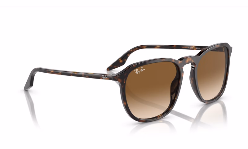 Ray-Ban RB2203 902/51 52 Ray-Ban RB2203 902/51 52