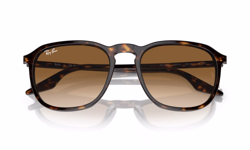 Ray-Ban RB2203 902/51 52 Ray-Ban RB2203 902/51 52