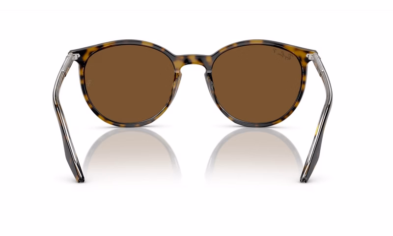 Ray-Ban RB2204 139357 51 Ray-Ban RB2204 139357 51