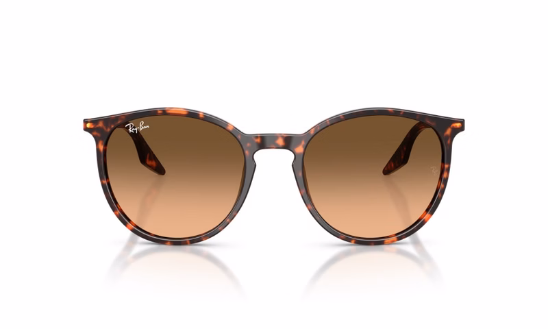 Ray-Ban RB2204 14293B 51 Ray-Ban RB2204 14293B 51