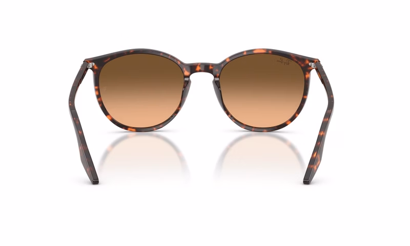 Ray-Ban RB2204 14293B 51 Ray-Ban RB2204 14293B 51