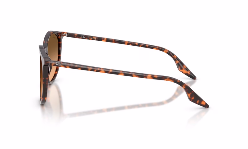 Ray-Ban RB2204 14293B 51 Ray-Ban RB2204 14293B 51