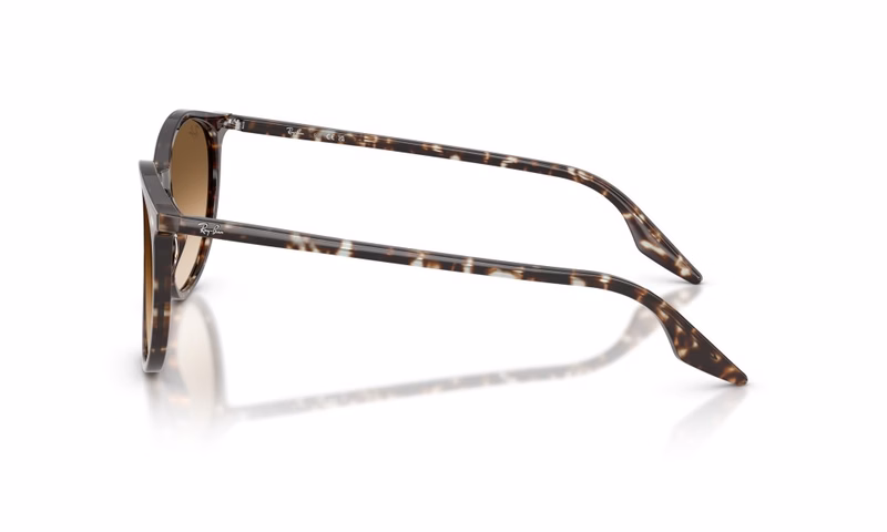 Ray-Ban RB2204 143151 51 Ray-Ban RB2204 143151 51