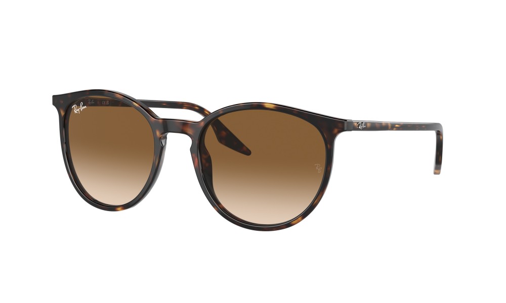 Ray-Ban RB2204 902/51 51 Ray-Ban RB2204 902/51 51