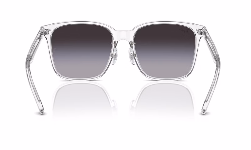 Ray-Ban RB2206D 64478G Ray-Ban RB2206D 64478G