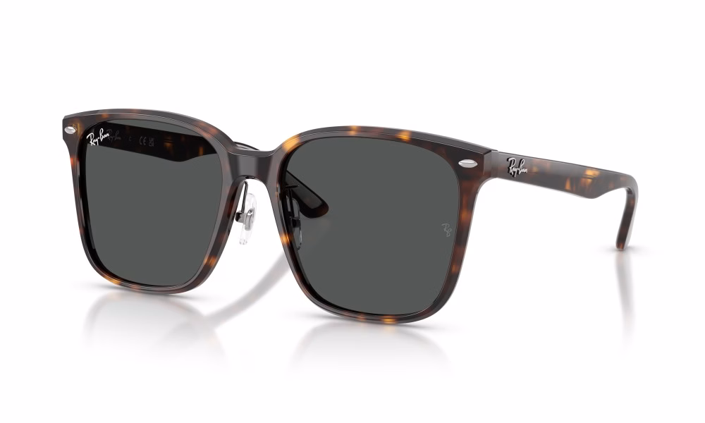 Ray-Ban RB2206D 710/87 Ray-Ban RB2206D 710/87