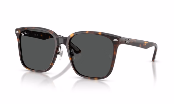 Ray-Ban RB2206D 710/87 Ray-Ban RB2206D 710/87