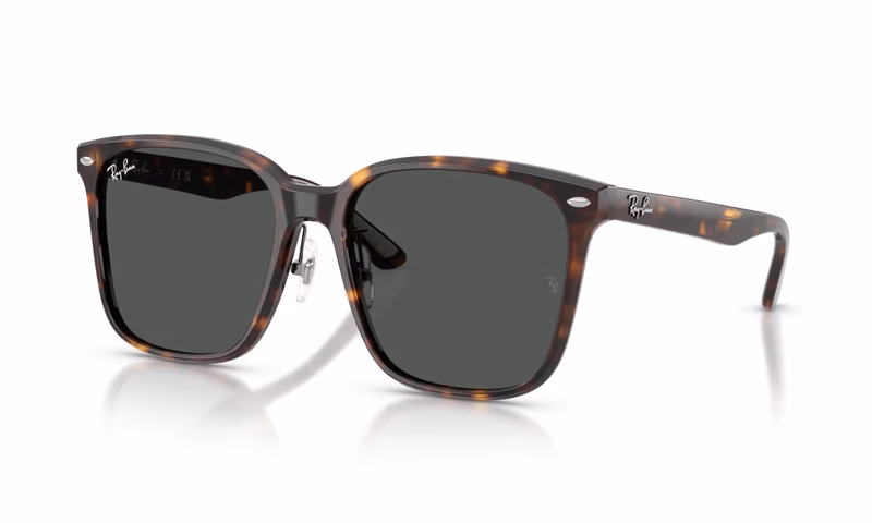 Ray-Ban RB2206D 710/87 Ray-Ban RB2206D 710/87