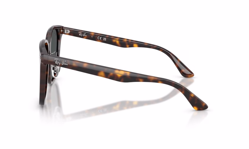 Ray-Ban RB2206D 710/87 Ray-Ban RB2206D 710/87