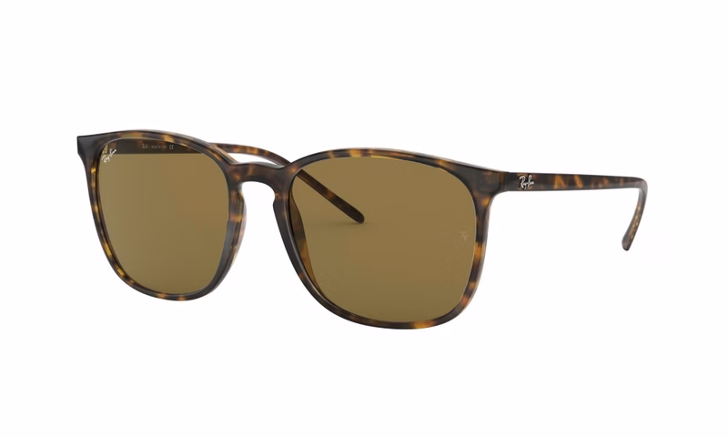 Ray-Ban RB4387 710/73 Ray-Ban RB4387 710/73