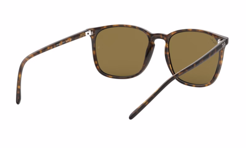 Ray-Ban RB4387 710/73 Ray-Ban RB4387 710/73