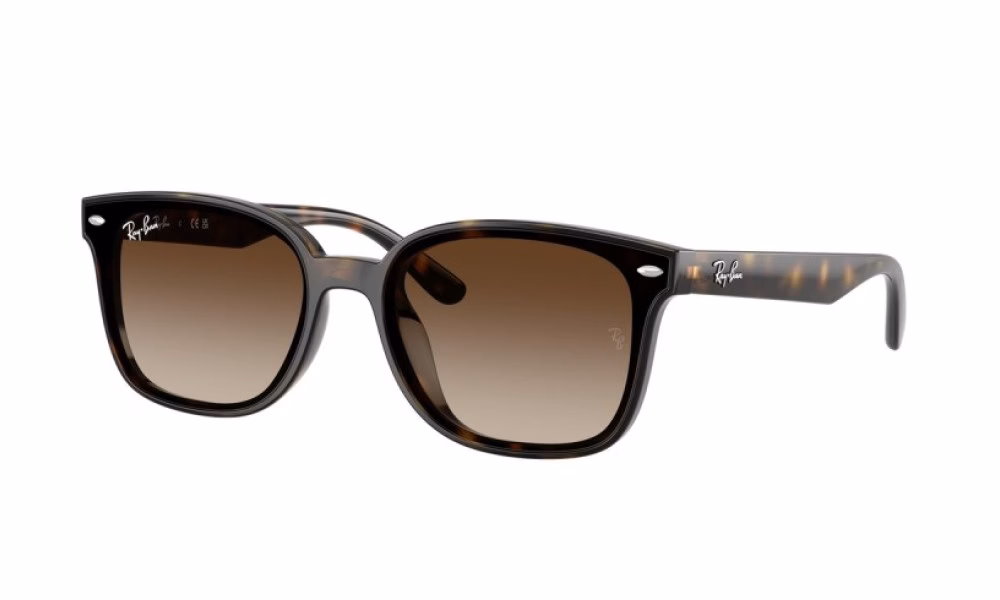 Ray-Ban RB4461D 710/13 Ray-Ban RB4461D 710/13
