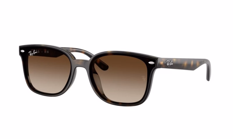 Ray-Ban RB4461D 710/13 Ray-Ban RB4461D 710/13