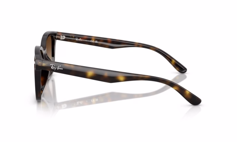 Ray-Ban RB4461D 710/13 Ray-Ban RB4461D 710/13