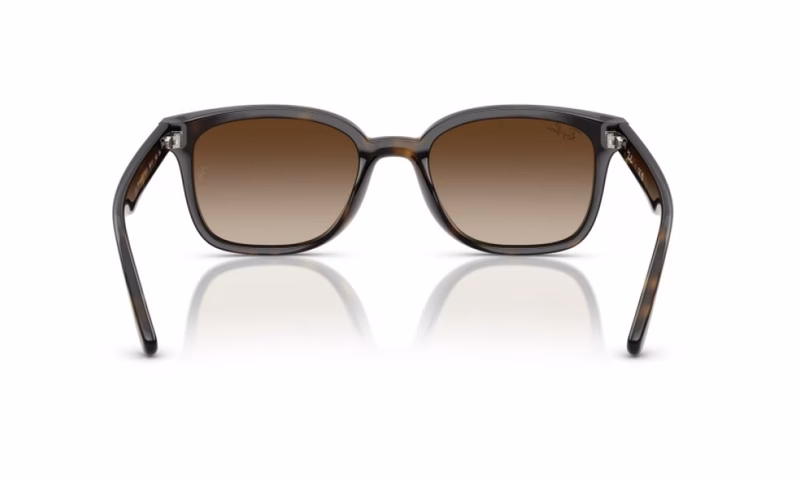 Ray-Ban RB4461D 710/13 Ray-Ban RB4461D 710/13