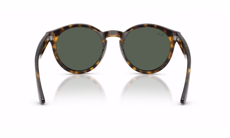 Ray-Ban RBR0505S 6790VR Ray-Ban RBR0505S 6790VR