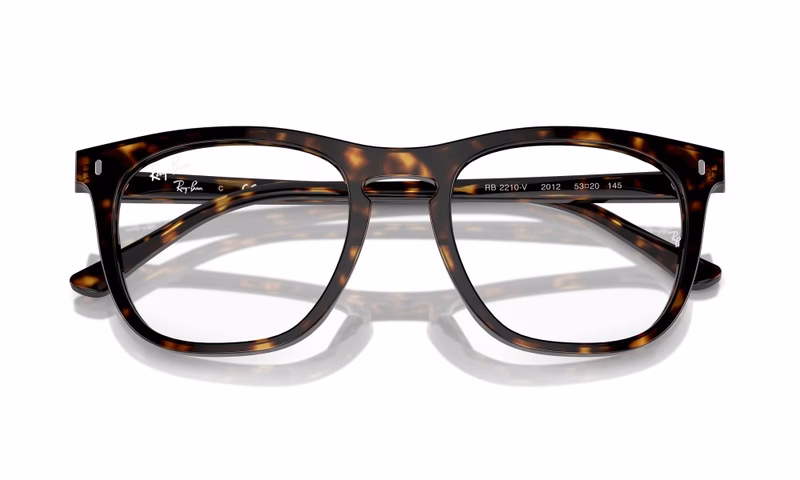 Ray-Ban RX2210V 2012 51 Ray-Ban RX2210V 2012 51