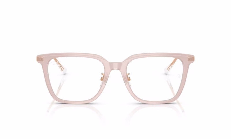 Ray-Ban RX5442D 8438 Ray-Ban RX5442D 8438