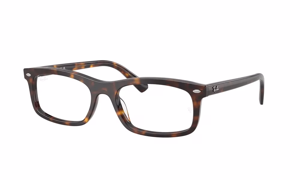 Ray-Ban RX5450 2012 54 Ray-Ban RX5450 2012 54