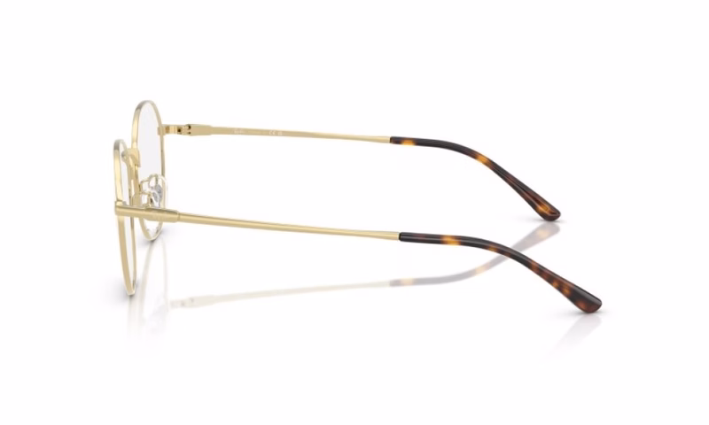Ray-Ban RX8778D 1251 Ray-Ban RX8778D 1251