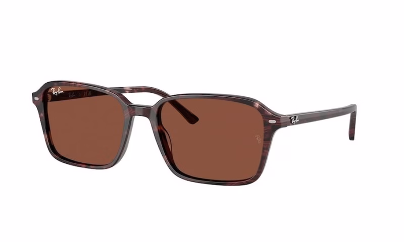 Ray-Ban Raimond RB2231 1416C5 56 Ray-Ban Raimond RB2231 1416C5 56