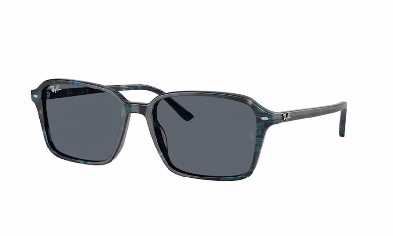 Ray-Ban Raimond RB2231 1417R5 56 Ray-Ban Raimond RB2231 1417R5 56