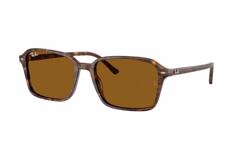 Ray-Ban Raimond RB2231 141833 56 Ray-Ban Raimond RB2231 141833 56