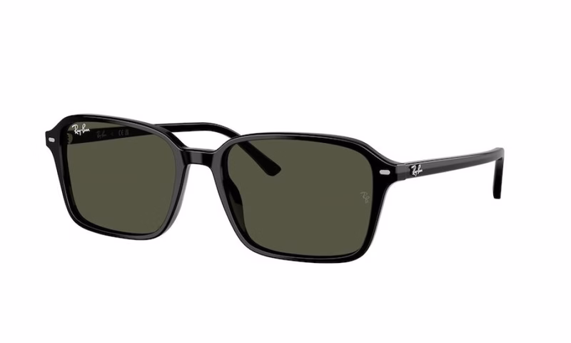 Ray-Ban Raimond RB2231 901/31 56 Ray-Ban Raimond RB2231 901/31 56