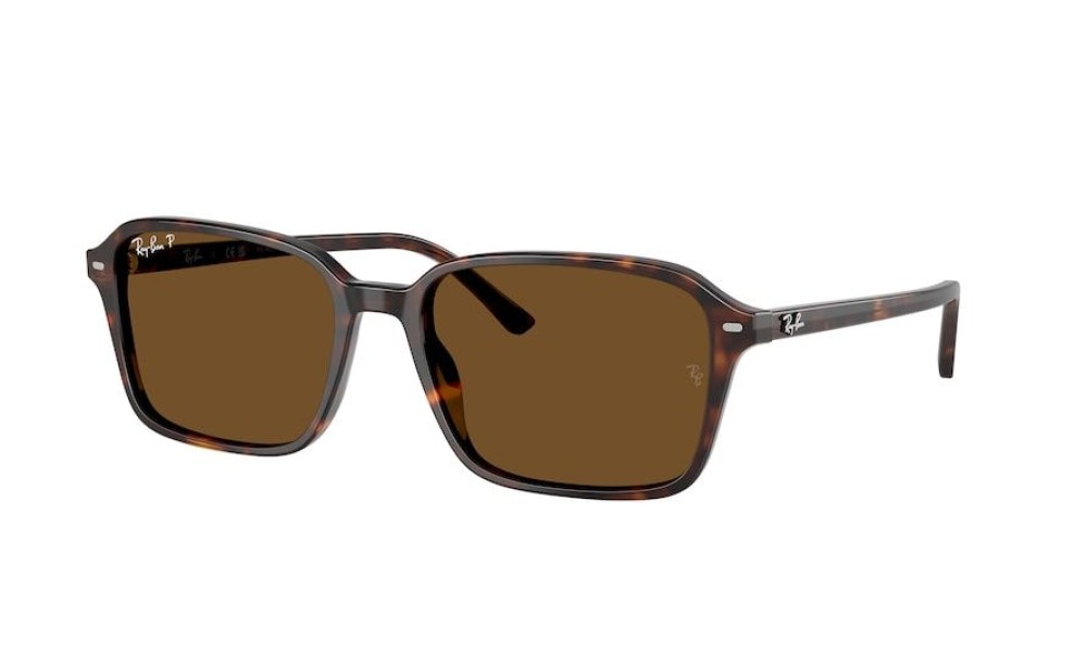 Ray-Ban Raimond RB2231 902/57 56 Ray-Ban Raimond RB2231 902/57 56
