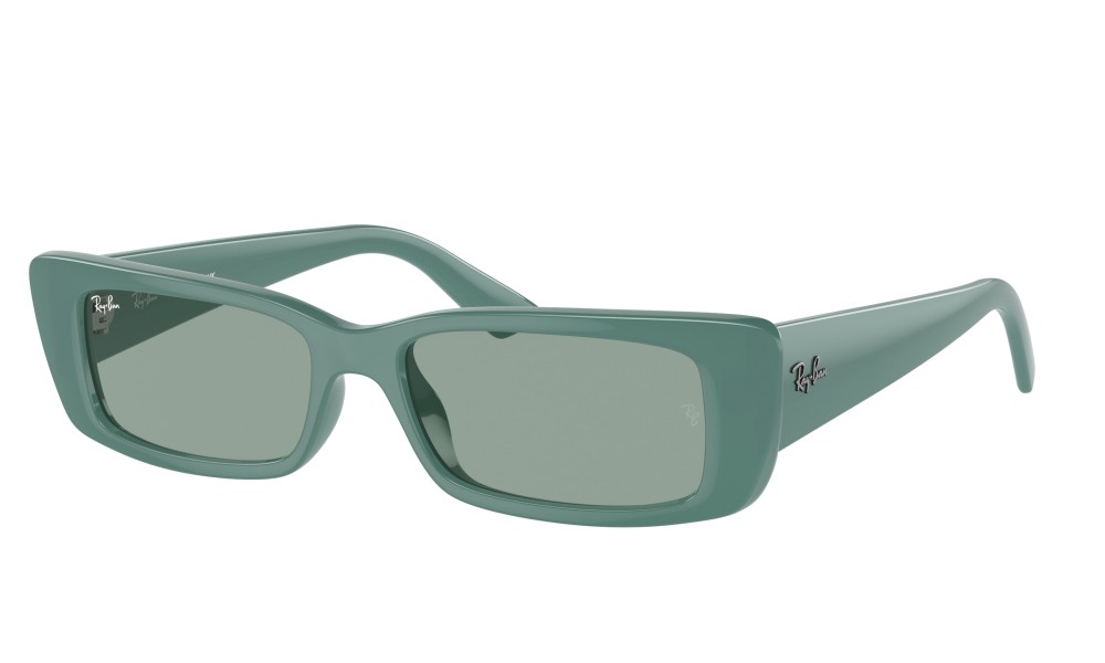 Ray-Ban Teru RB4425 676282 Ray-Ban Teru RB4425 676282