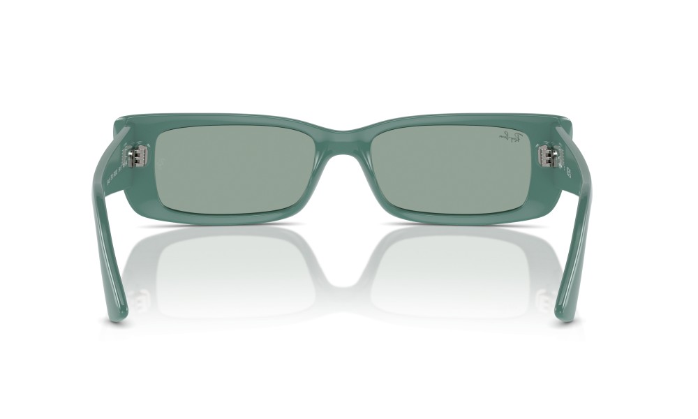 Ray-Ban Teru RB4425 676282 Ray-Ban Teru RB4425 676282