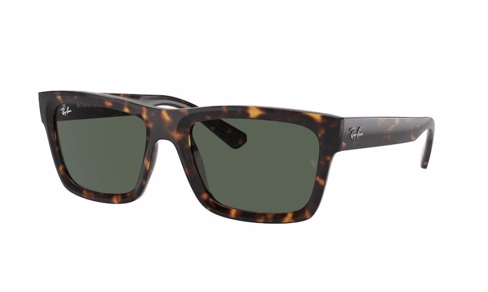 Ray-Ban Warren RB4396 135971 57 Ray-Ban Warren RB4396 135971 57