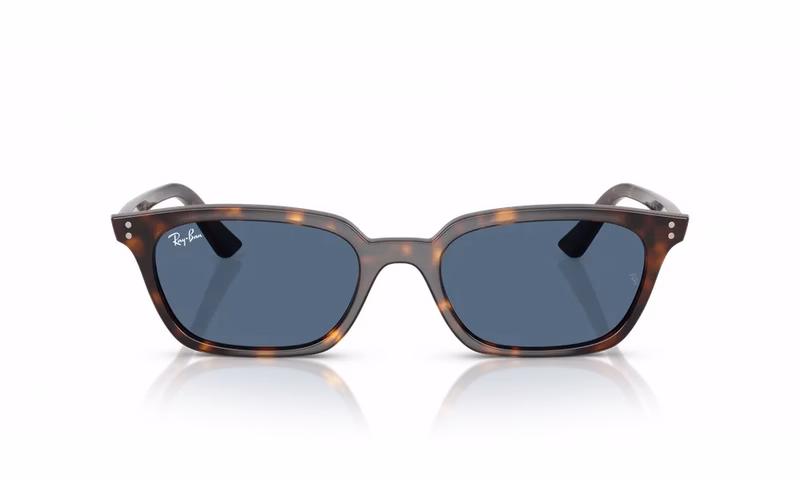 Ray-Ban Zaya RB4456 135980 Ray-Ban Zaya RB4456 135980