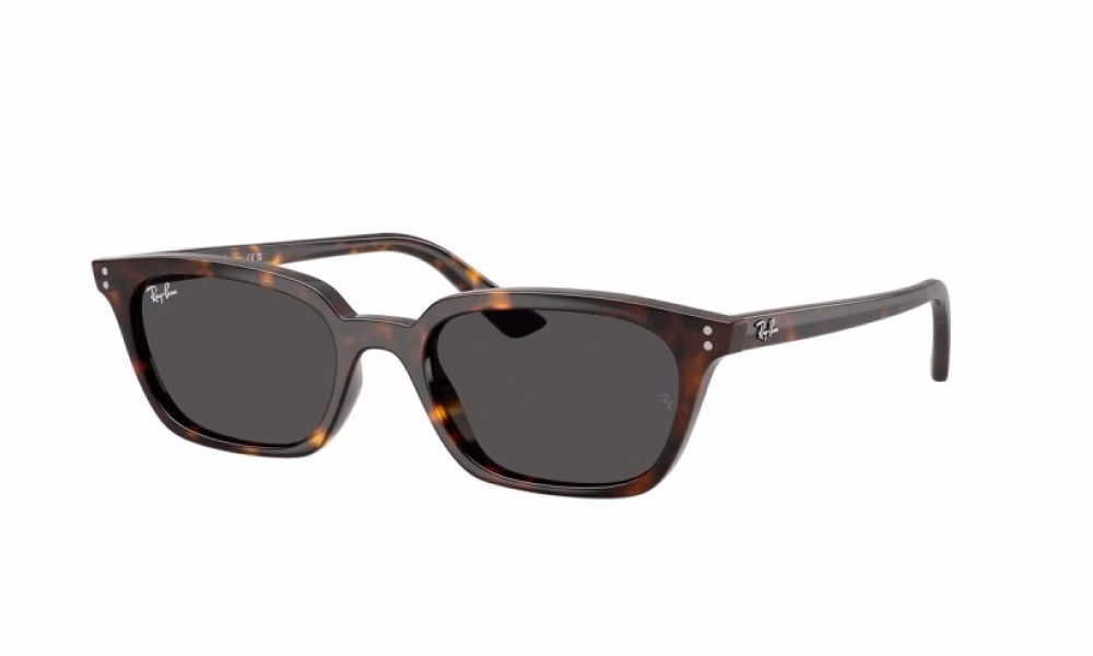 Ray-Ban Zaya RB4456 135987 50 Ray-Ban Zaya RB4456 135987 50