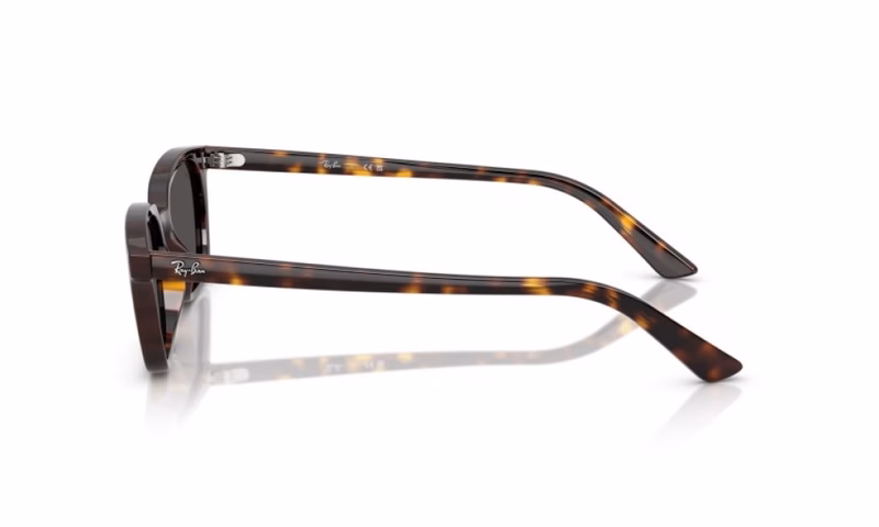 Ray-Ban Zaya RB4456 135987 50 Ray-Ban Zaya RB4456 135987 50
