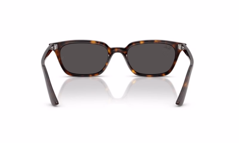 Ray-Ban Zaya RB4456 135987 50 Ray-Ban Zaya RB4456 135987 50