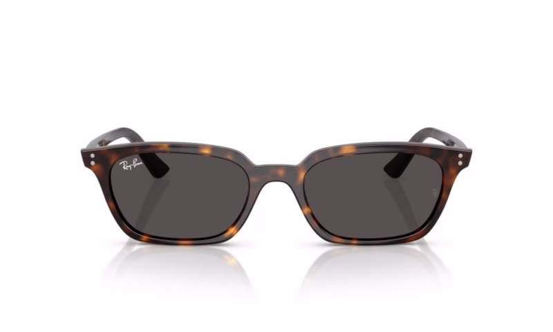 Ray-Ban Zaya RB4456 135987 50 Ray-Ban Zaya RB4456 135987 50