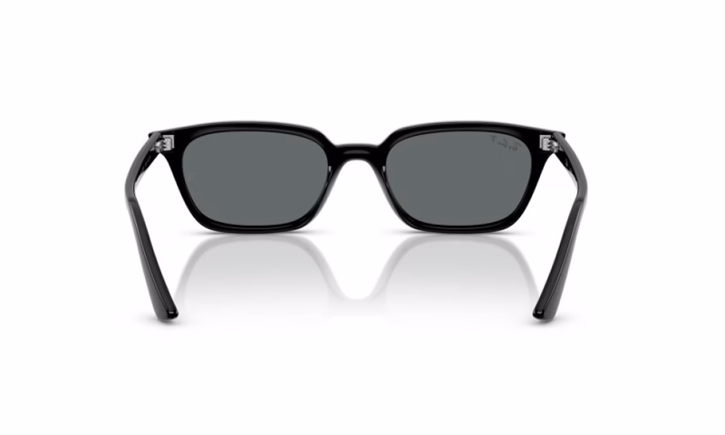Ray-Ban Zaya RB4456 667781 50 Ray-Ban Zaya RB4456 667781 50