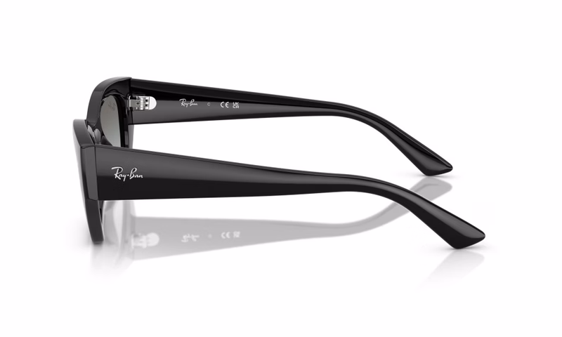 Ray-Ban Zena RB4430 667711 49 Ray-Ban Zena RB4430 667711 49