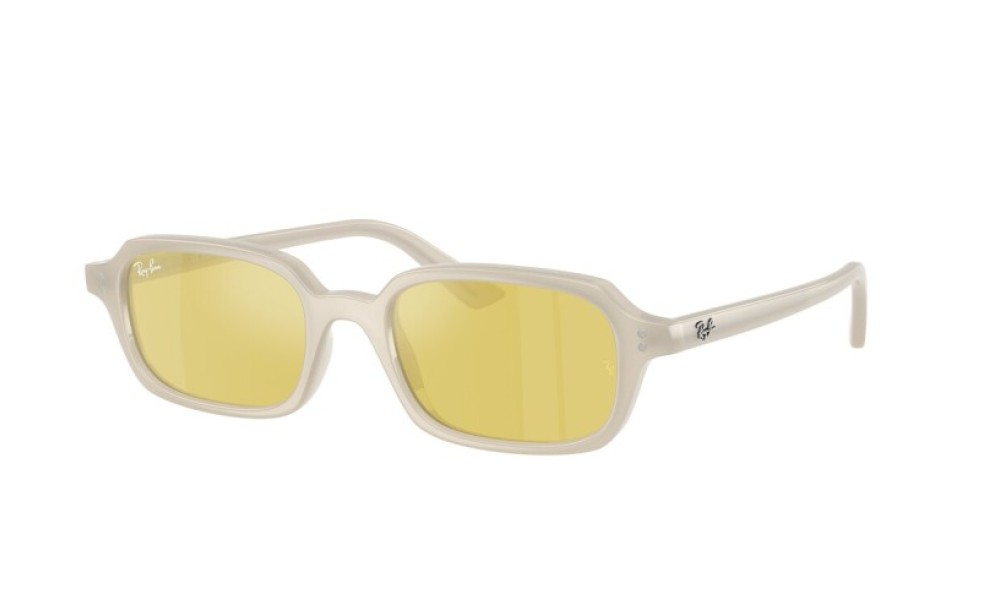 Ray-Ban Zuri RB4455 68086D 49 Ray-Ban Zuri RB4455 68086D 49