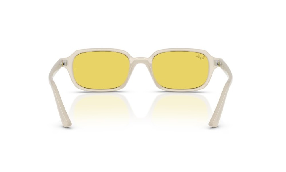 Ray-Ban Zuri RB4455 68086D 49 Ray-Ban Zuri RB4455 68086D 49